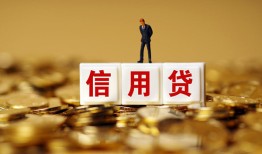 成都18哪有个人借贷-成都18小额贷款公司-成都18私借空放免费上门
