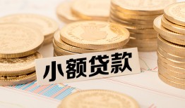 成都18身份证贷款平台-成都18私人借贷不查征信-成都18空放借钱