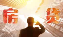 农户小额信用贷款金融服务与信贷实践